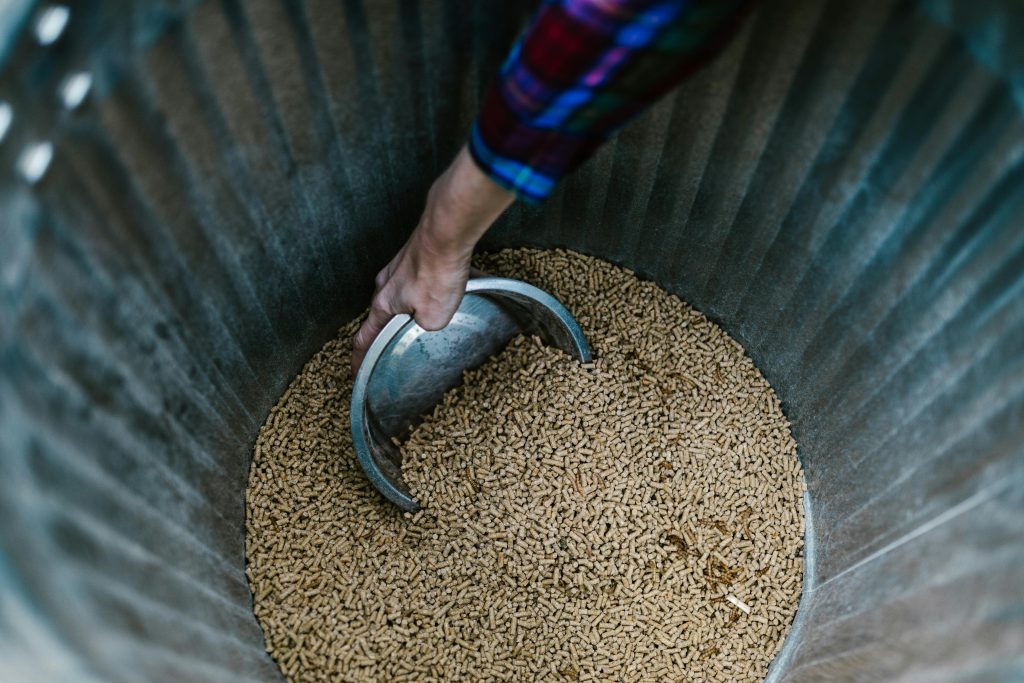 pexels-photo-7782871-7782871 Close-up of a hand using a bowl to scoop animal feed from a metal bin.